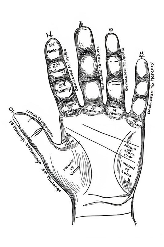 Hand Map Postal Card