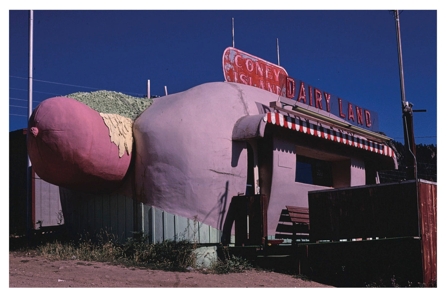 Coney Island Dairyland Postal Card