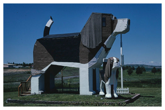 DOG PARK POSTAL CARD