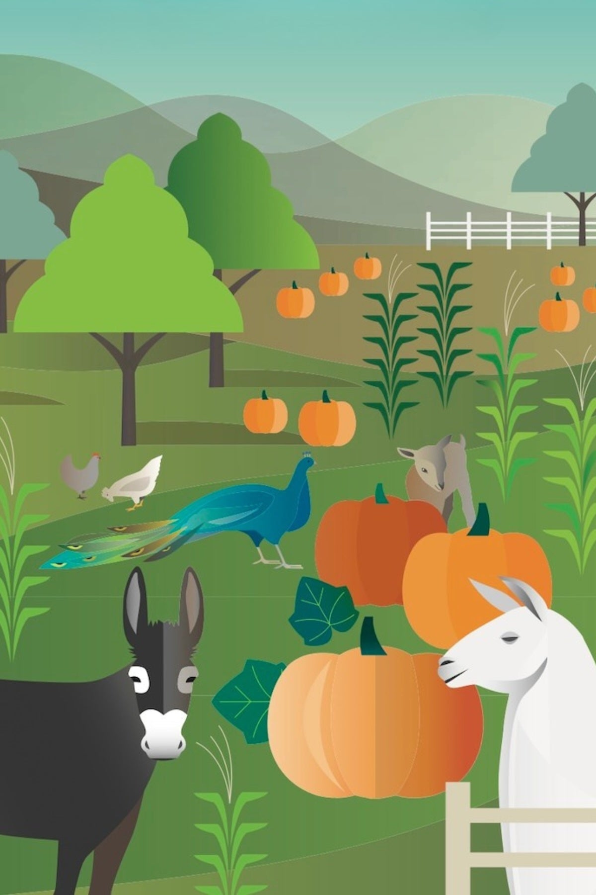 Pumpkin Patch Postcard