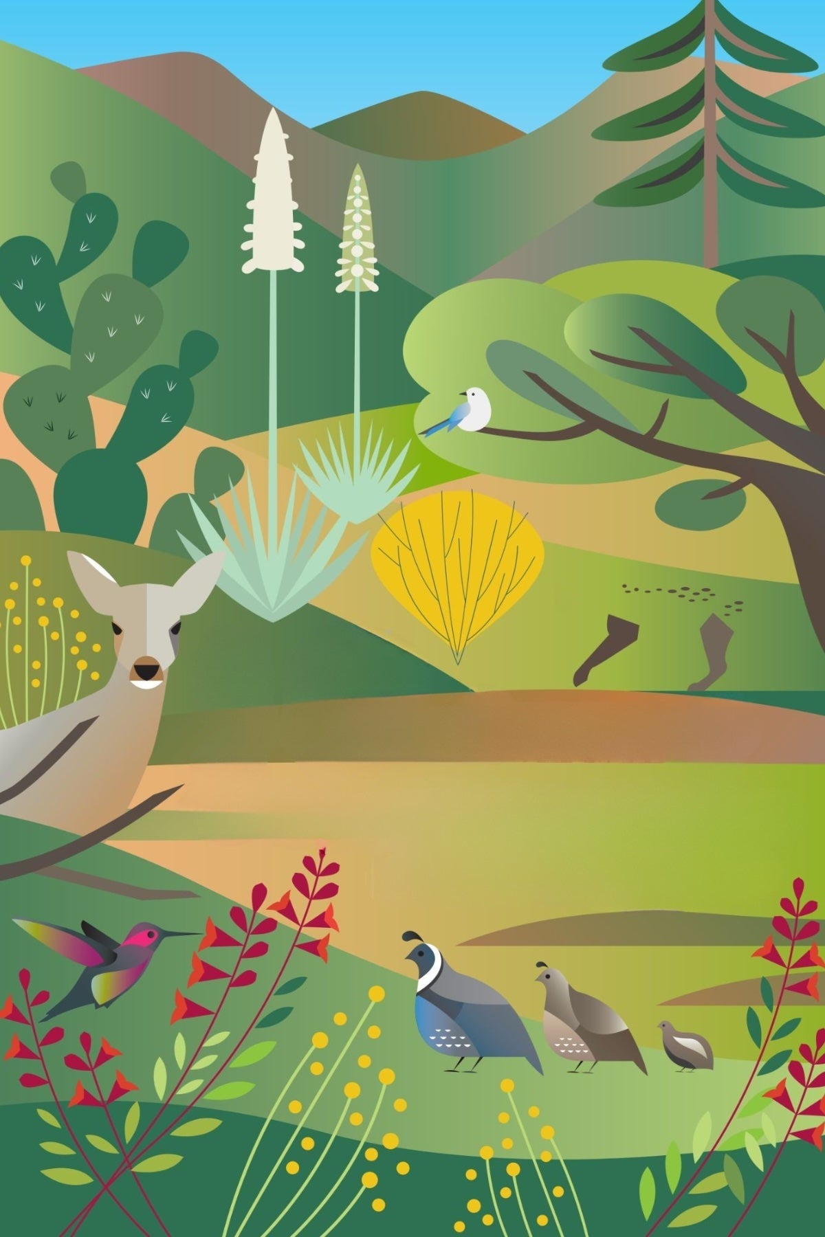 Kalifornien Wildlife Postkarte