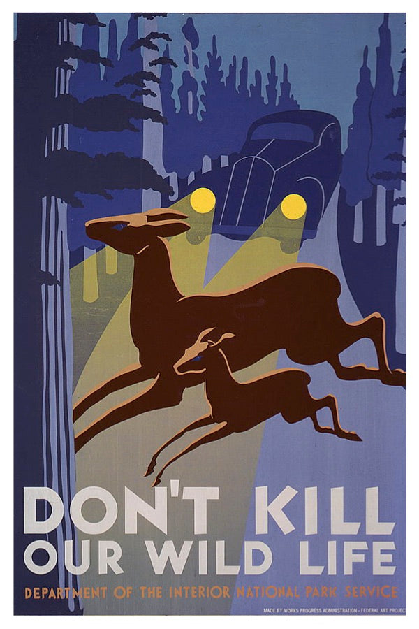 TÖTEN SIE UNSERE WILDTIERE NICHT WPA-POSTKARTE