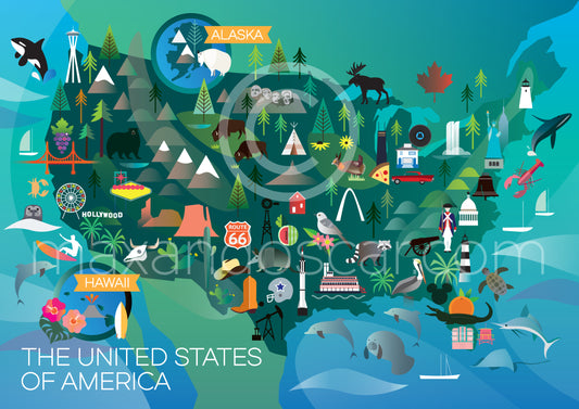 UNITED STATES POSTCARD